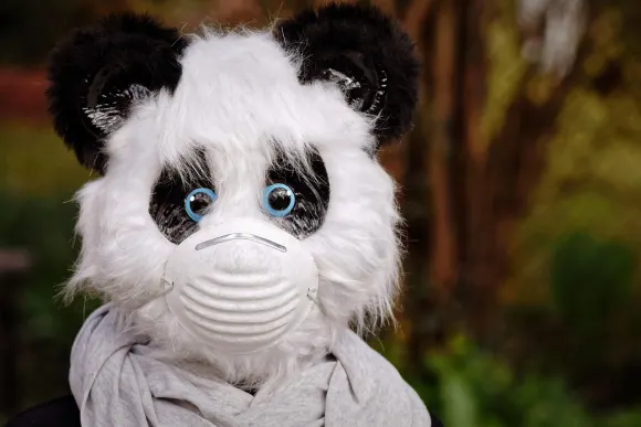 SpinShake Cazino Cazinou Suport